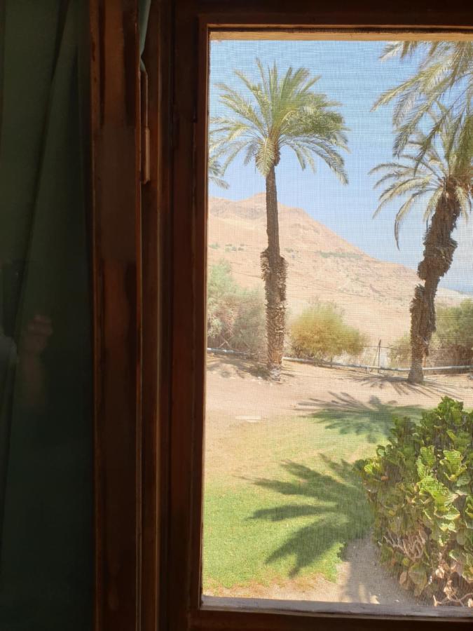 הצימר של יהושע Ein Gedi Bagian luar foto